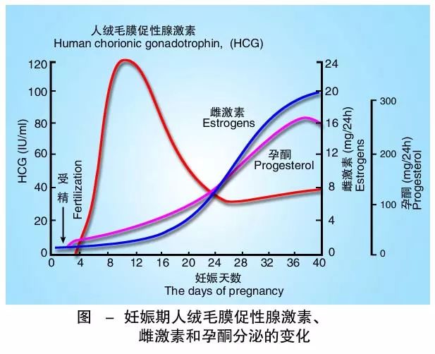 懷孕期間HCG低怎么辦？